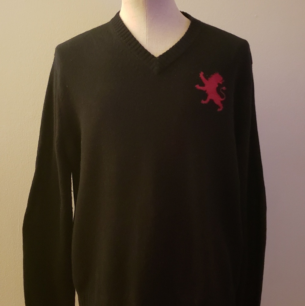 Lion sweater
